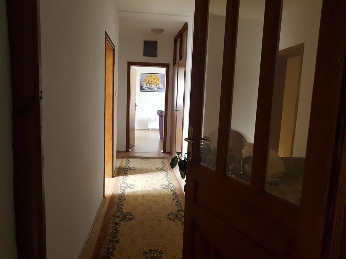 באינה באשטה Apartman Jovanovic מראה חיצוני תמונה